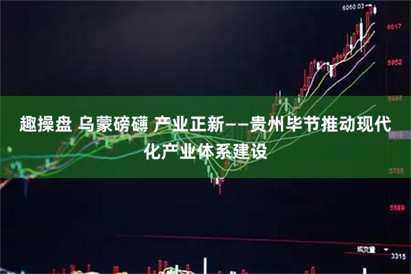 趣操盘 乌蒙磅礴 产业正新——贵州毕节推动现代化产业体系建设