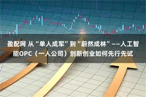 盈配网 从“单人成军”到“蔚然成林”——人工智能OPC（一人公司）创新创业如何先行先试